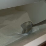 Lessive en poudre Biotop