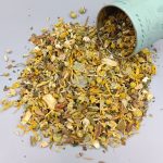 Infusion - Lady dodo